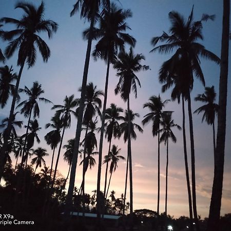 Forest Camp El Nido Luaran gambar