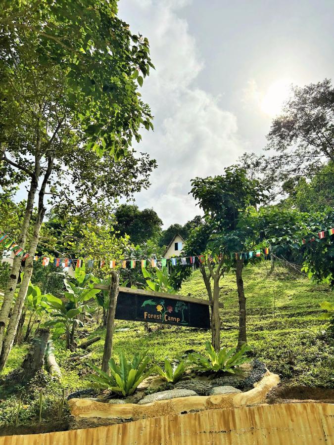 Forest Camp El Nido Luaran gambar