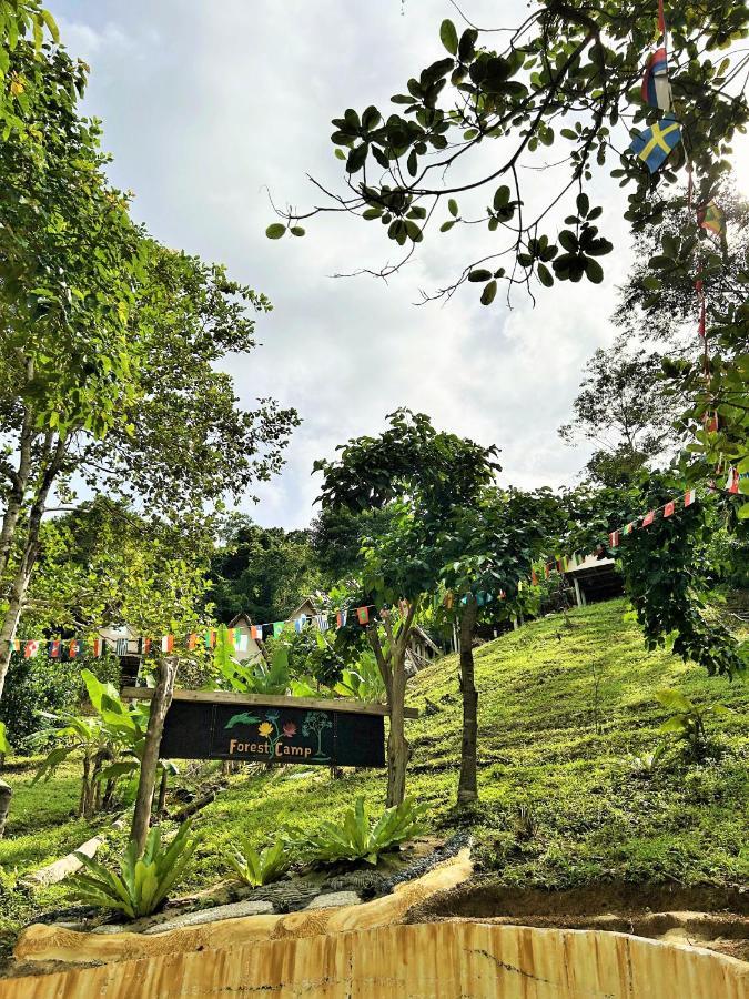 Forest Camp El Nido Luaran gambar