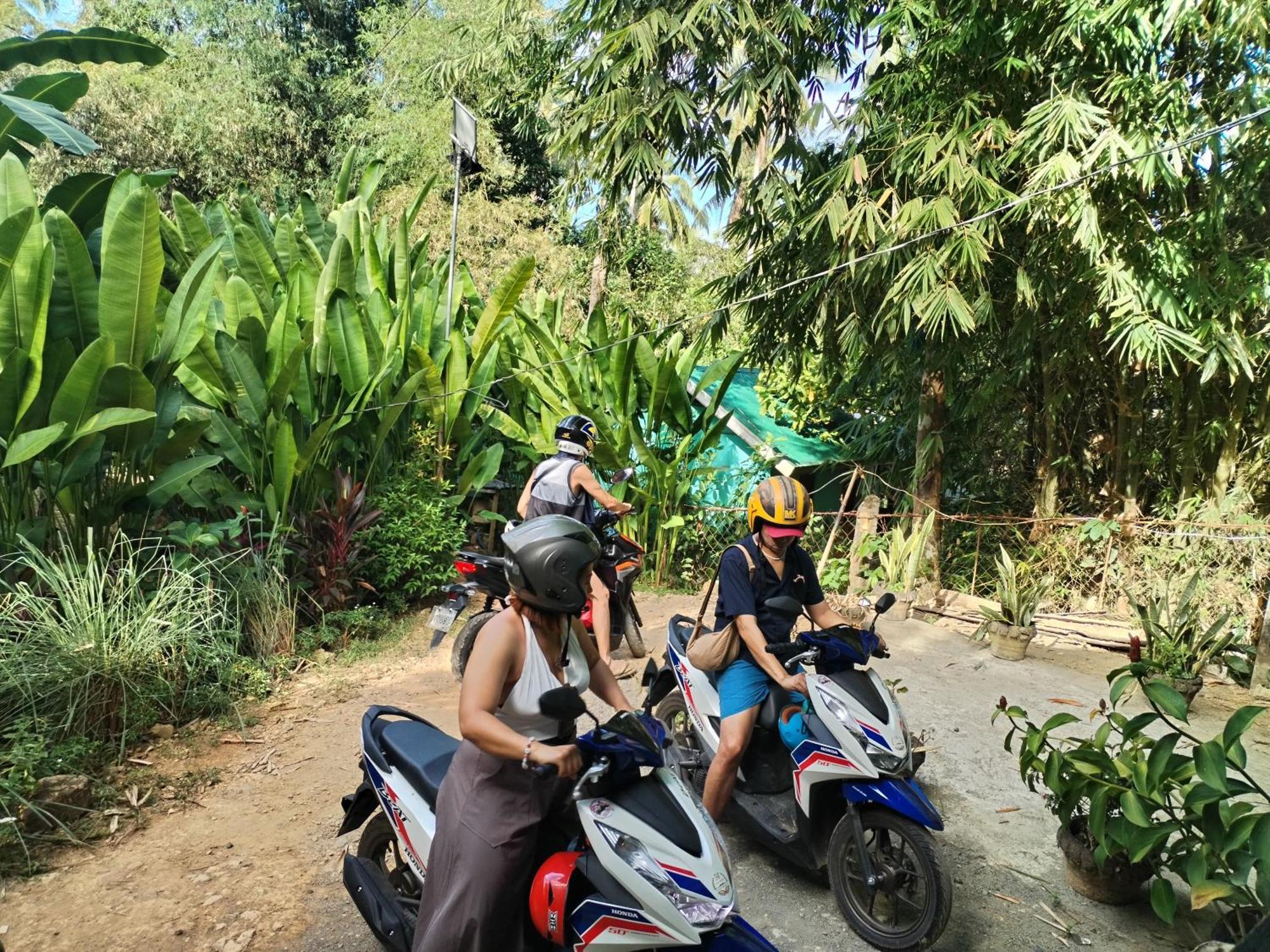 Forest Camp El Nido Luaran gambar